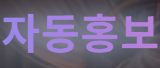 자동홍보